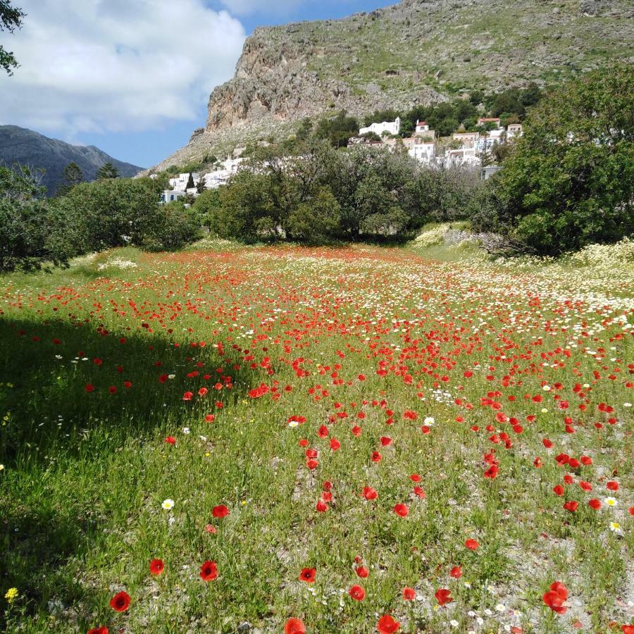 Tilos Island House Megálon Choríon Extérieur photo