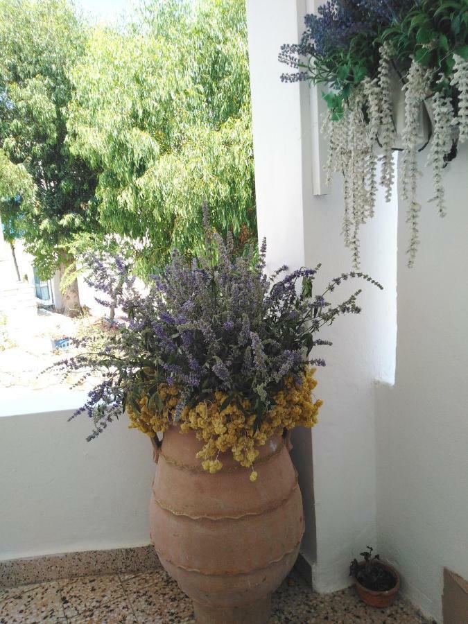 Tilos Island House Megálon Choríon Extérieur photo